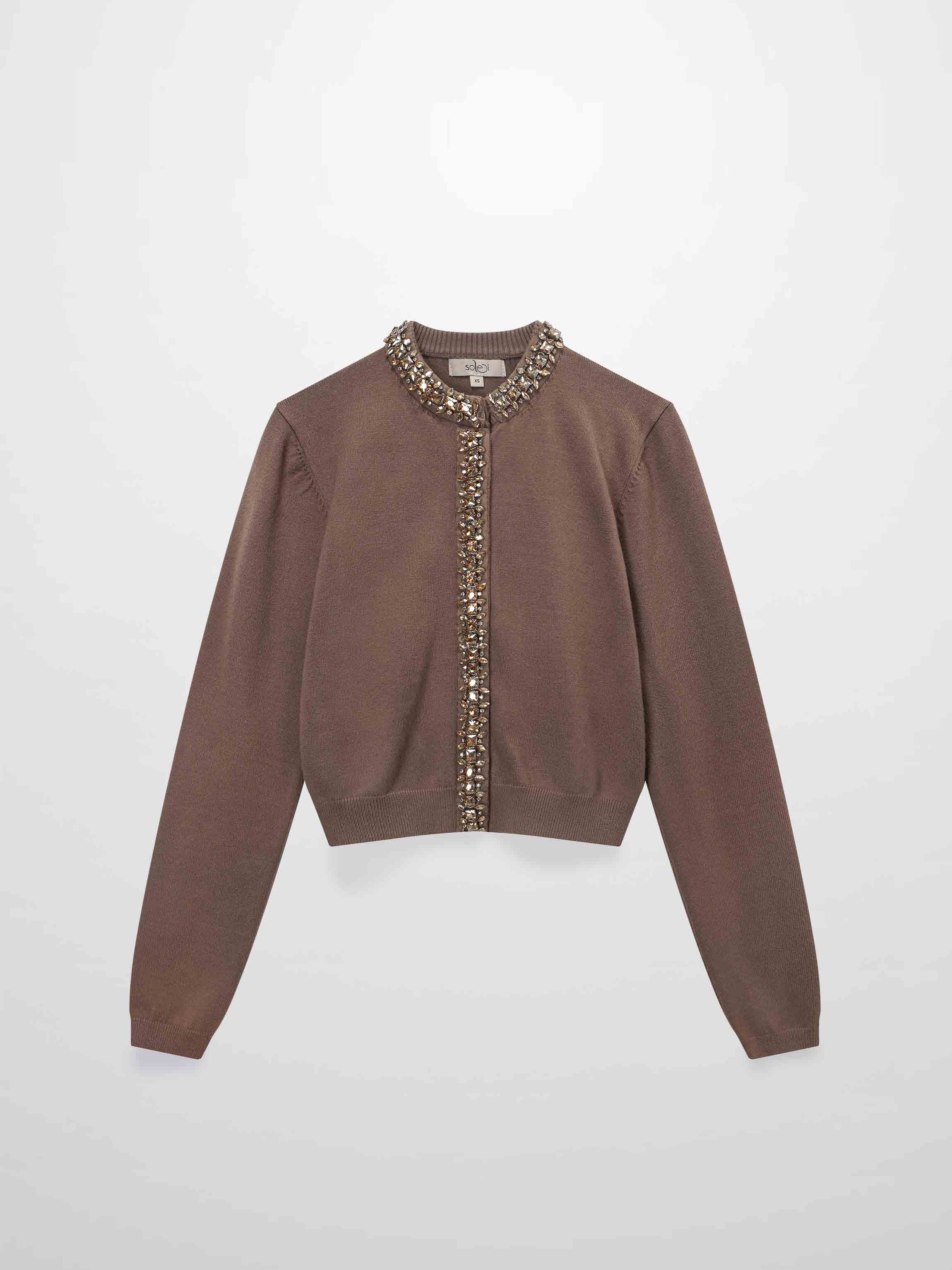 Embellished Cardigan Sweater-Mocha Mousse-1